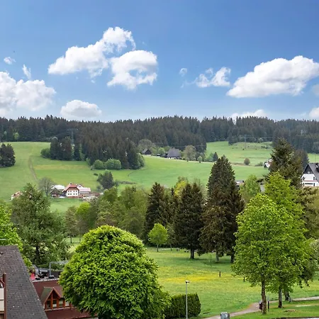 Black Forest Sky * Schönwalde